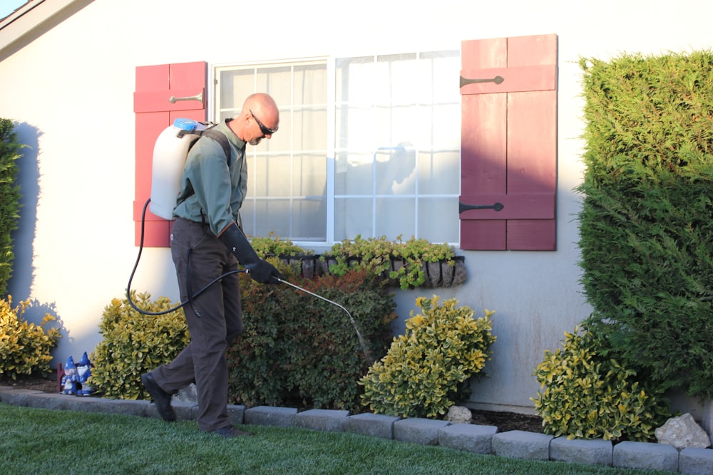 Pest Control